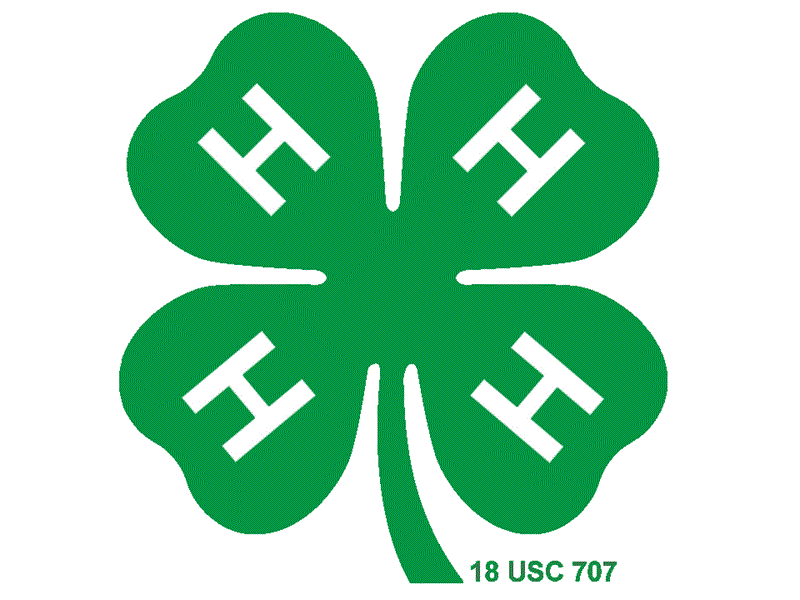 Logo for 2026 Vermilion County Fair