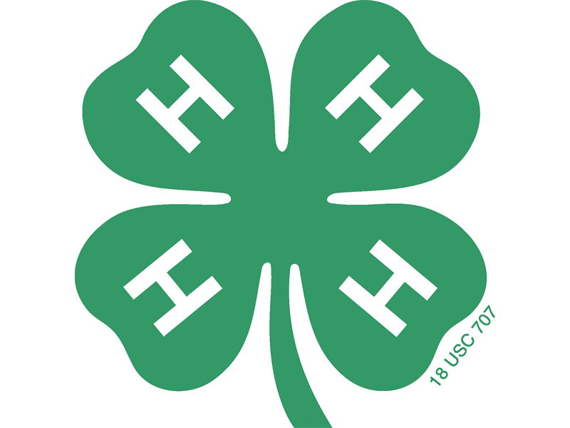 Logo for 2026 District 9 Horse Shows
