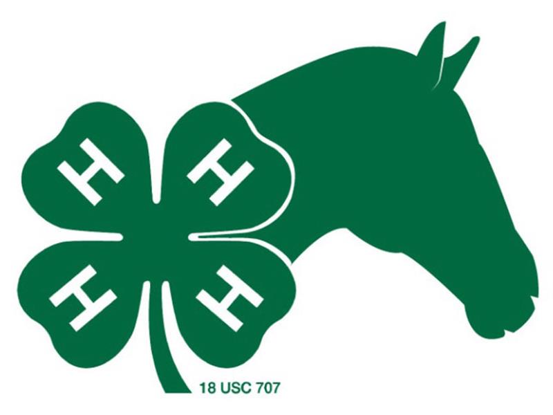 Logo for 2026 Eastern Montana Horse Show